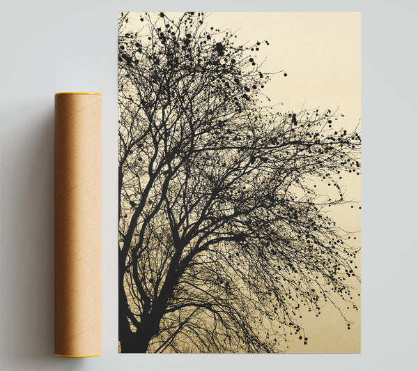 Chocolate Tree Poster