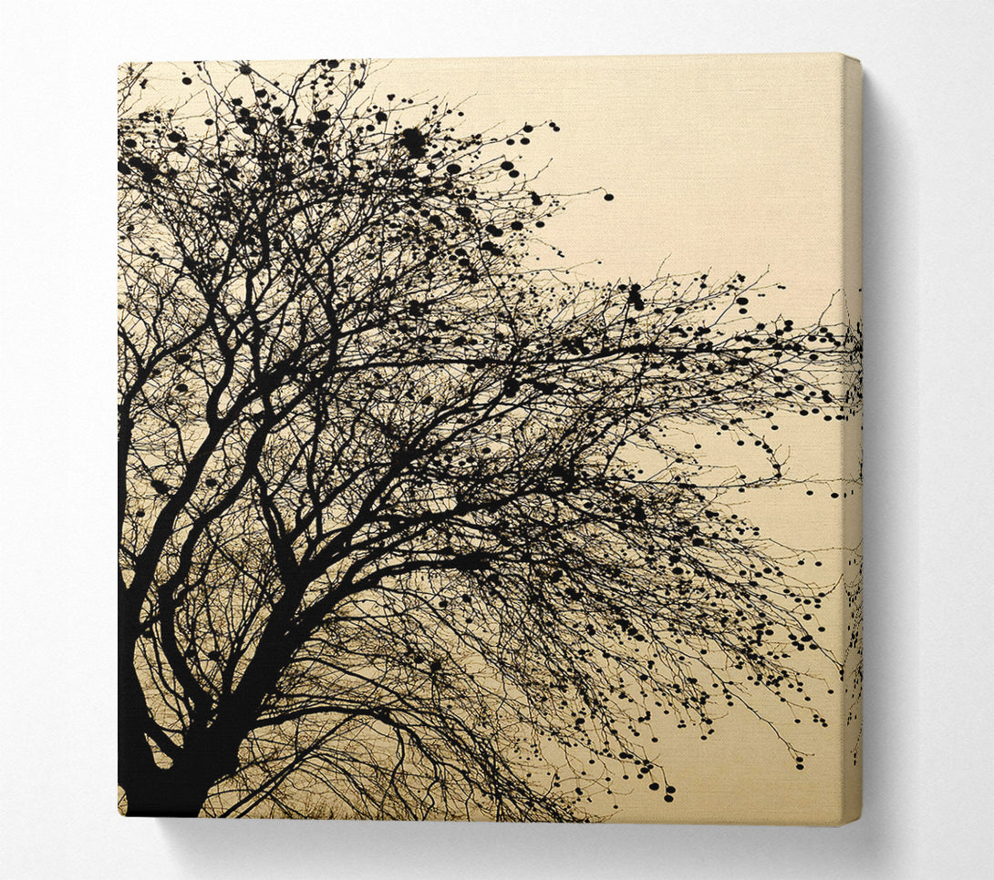 A Canvas Print of Chocolate Tree Canvas Print
