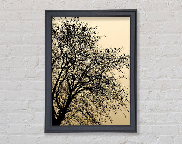 Chocolate Tree Framed Print