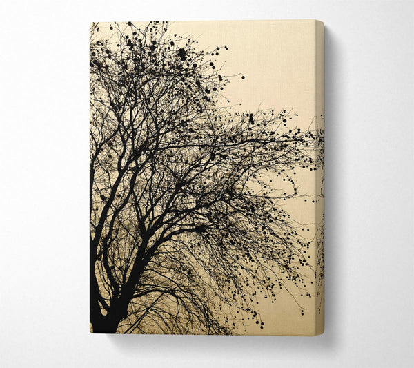  A Canvas Print of Chocolate Tree Canvas Print