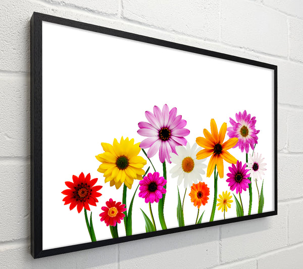 Garden Flower Party