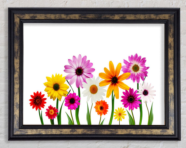 Garden Flower Party Framed Print