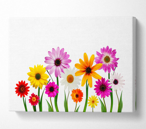  A Canvas Print of Garden Flower Party Canvas Art