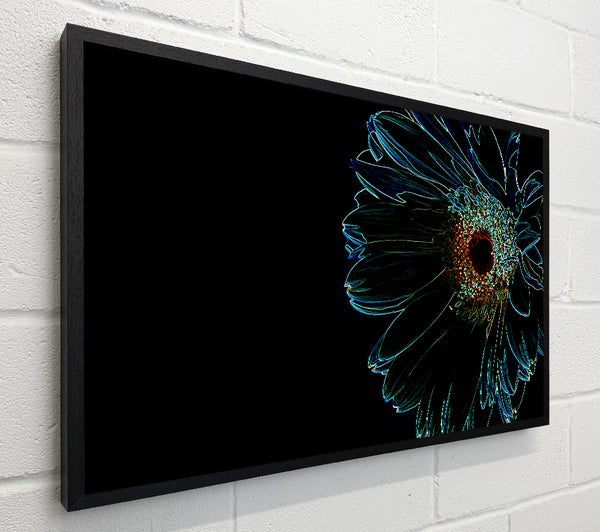 Night Flower