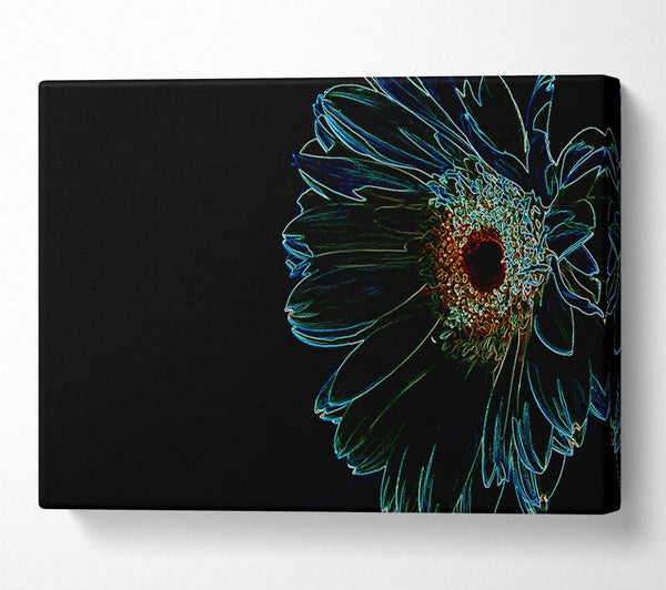  A Canvas Print of Night Flower Canvas Art