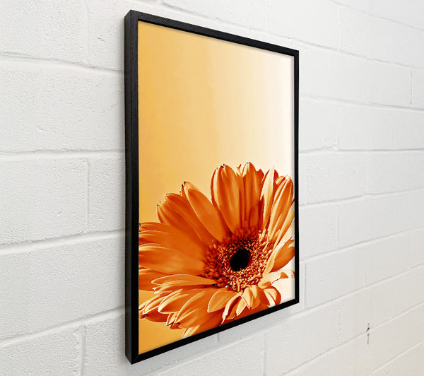 Flower Cocoa Sunshine