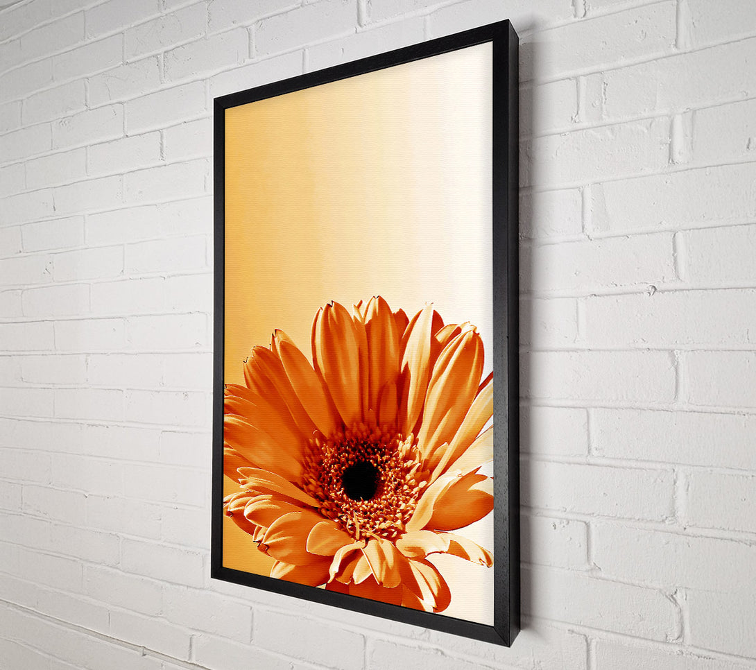 A Canvas Print of Flower Cocoa Sunshine Canvas Print