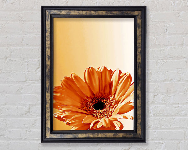 Flower Cocoa Sunshine Framed Print