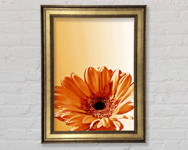 Flower Cocoa Sunshine Framed Print
