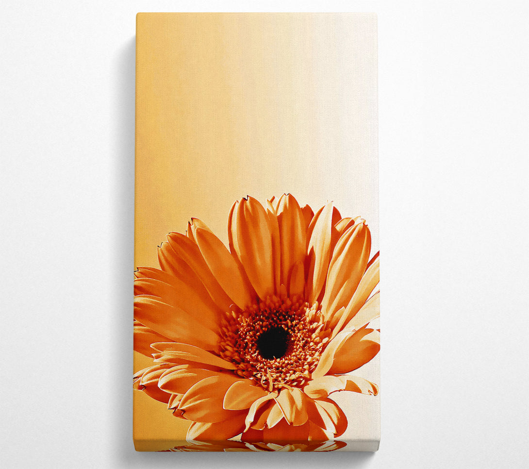 A Canvas Print of Flower Cocoa Sunshine Canvas Print