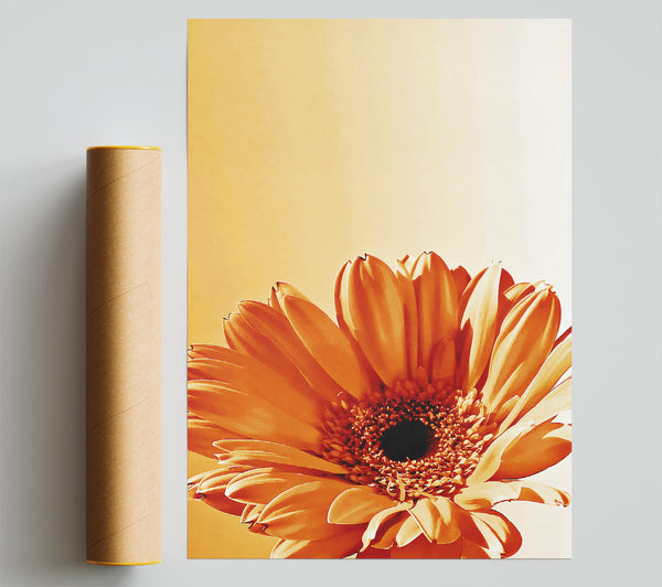 Flower Cocoa Sunshine Print