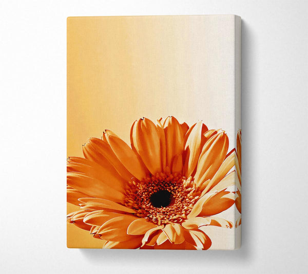  A Canvas Print of Flower Cocoa Sunshine Canvas Print
