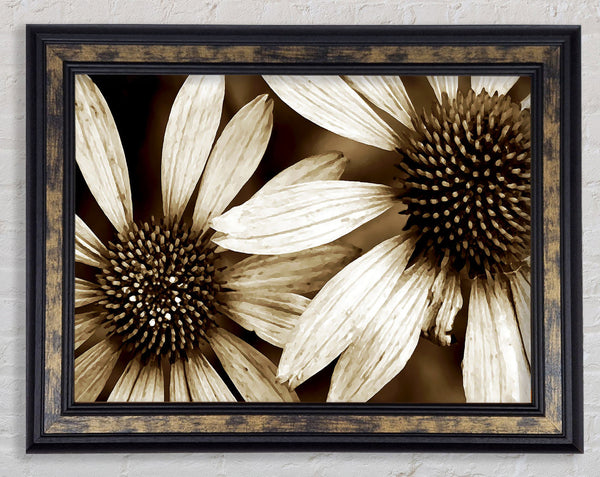 Sun Flower Duo Framed Print