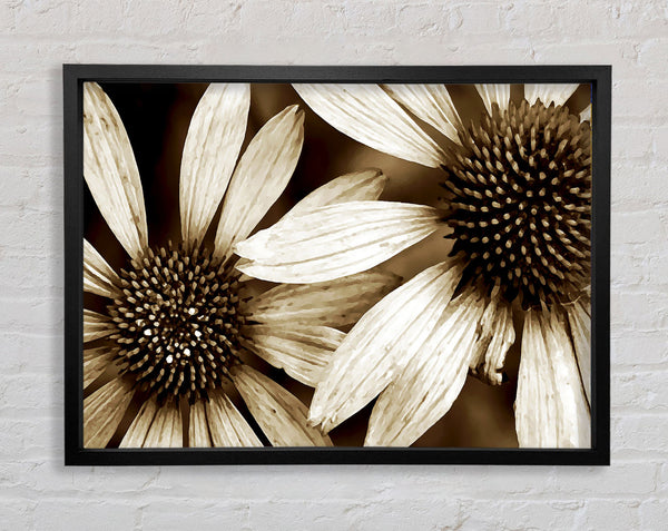 Sun Flower Duo Framed Print