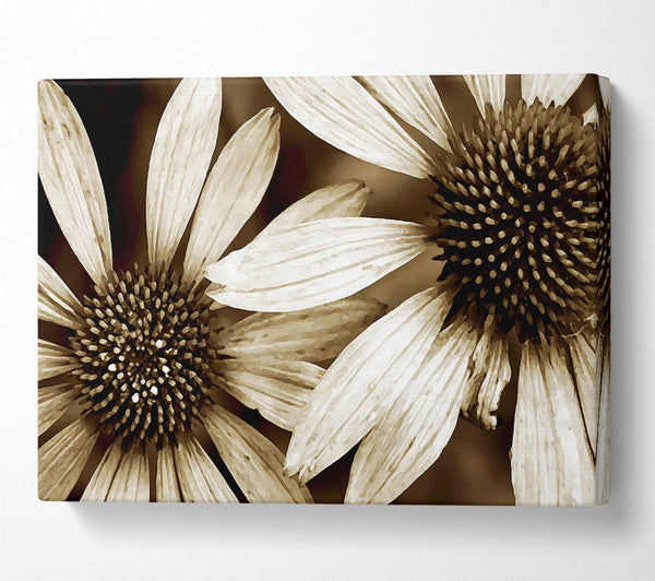  A Canvas Print of Sun Flower Duo Canvas Wall Art