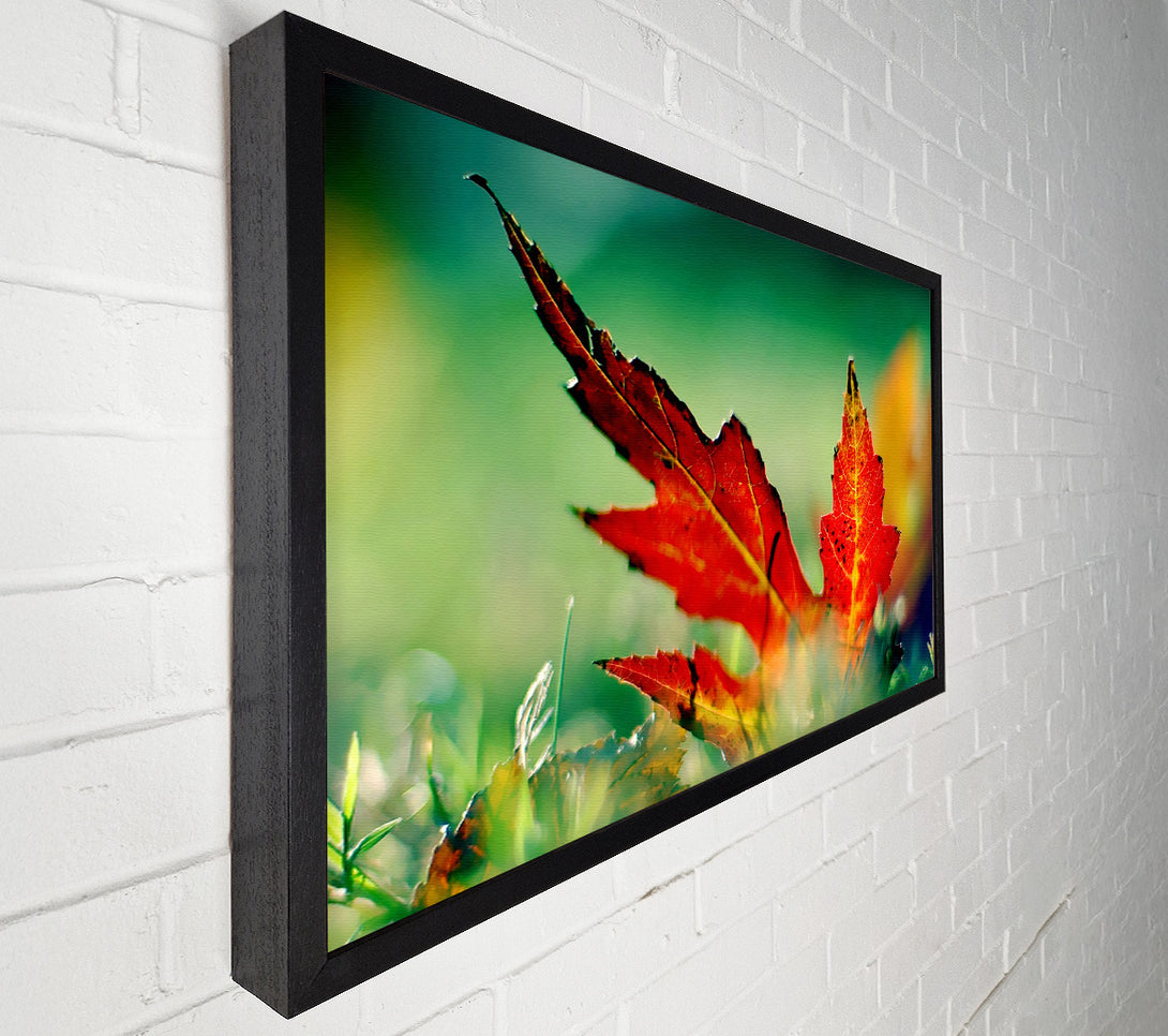  A Canvas Print of Autumn Leaf Canvas Wall Art