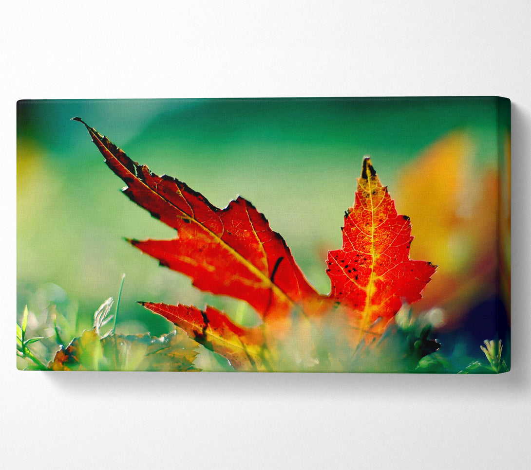  A Canvas Print of Autumn Leaf Canvas Wall Art