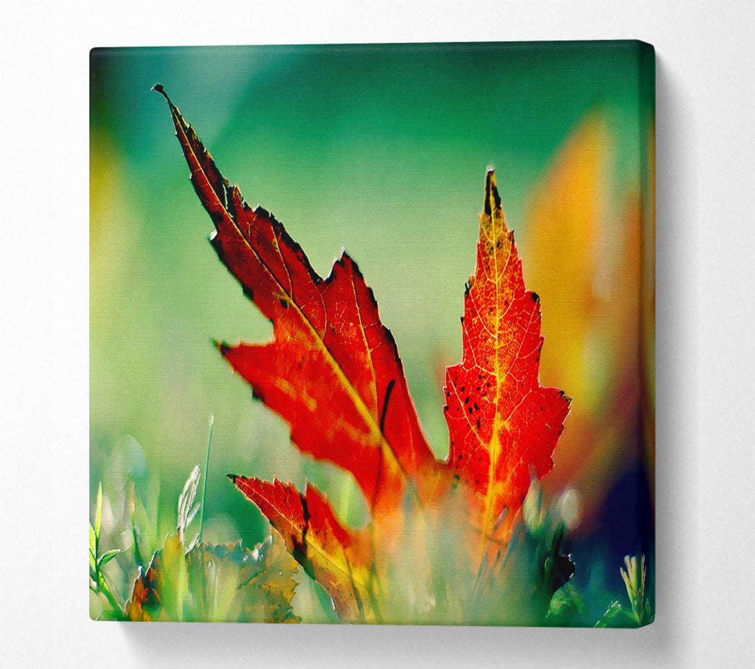  A Canvas Print of Autumn Leaf Canvas Wall Art