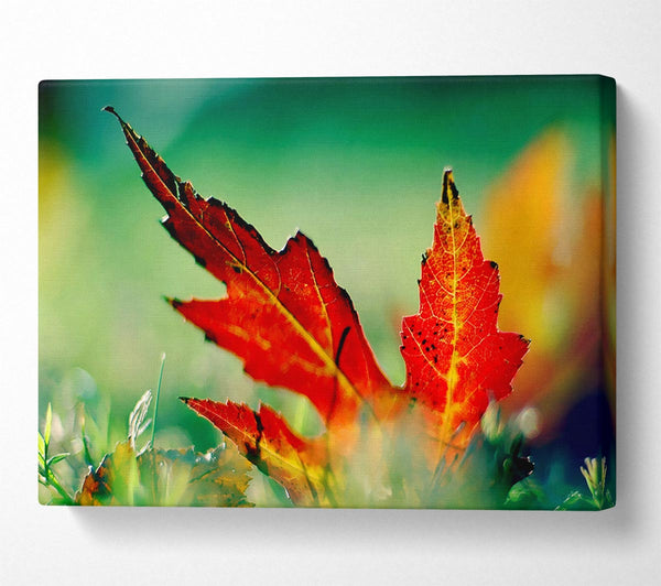  A Canvas Print of Autumn Leaf Canvas Wall Art