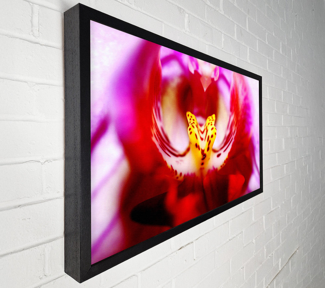  A Canvas Print of The Eye Of The Flower Canvas Print