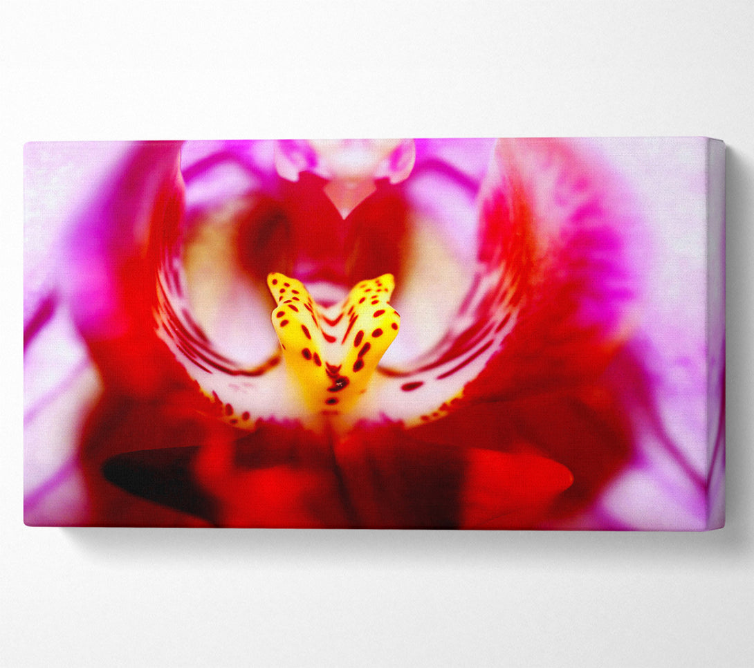  A Canvas Print of The Eye Of The Flower Canvas Print