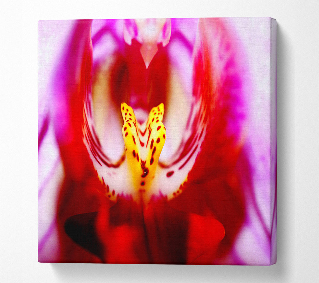 A Canvas Print of The Eye Of The Flower Canvas Print