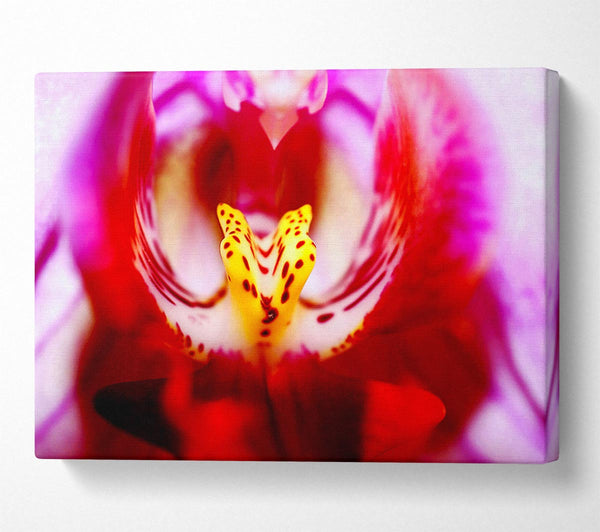  A Canvas Print of The Eye Of The Flower Canvas Print