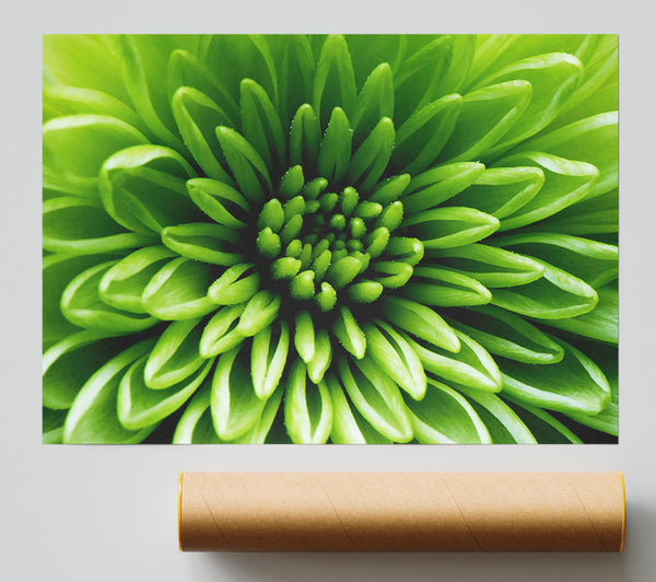 Green Centre Poster