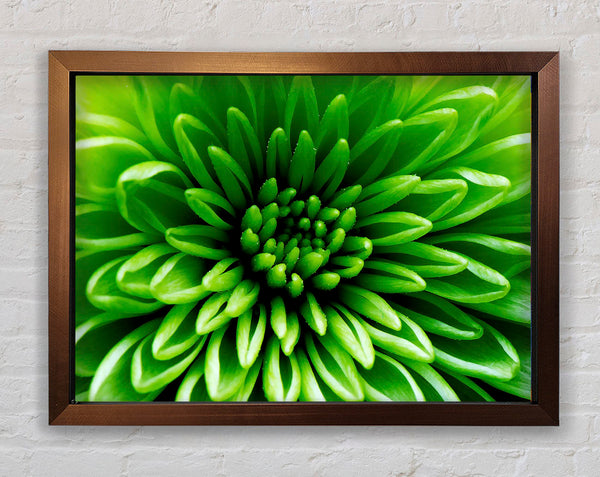 Green Centre Framed Print