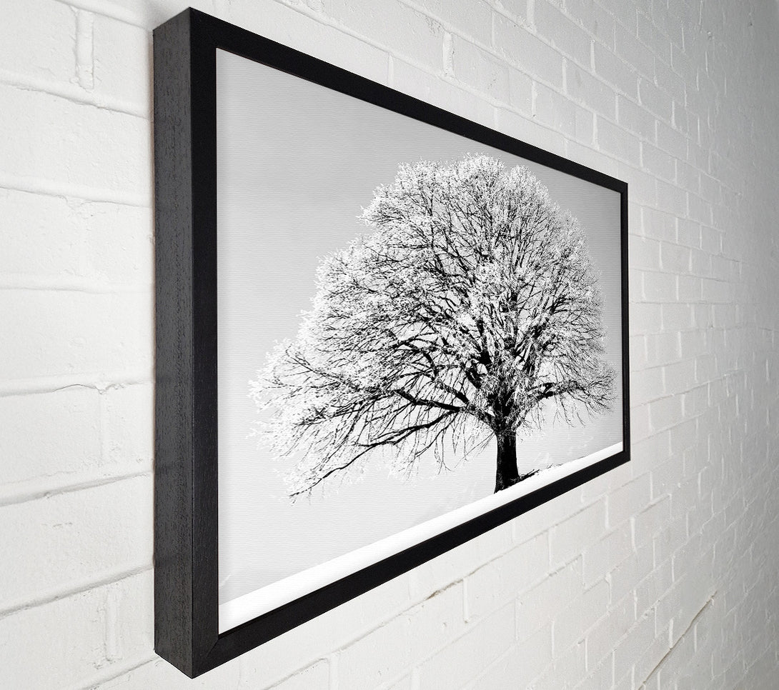  A Canvas Print of Winter Tree B n W Canvas Print