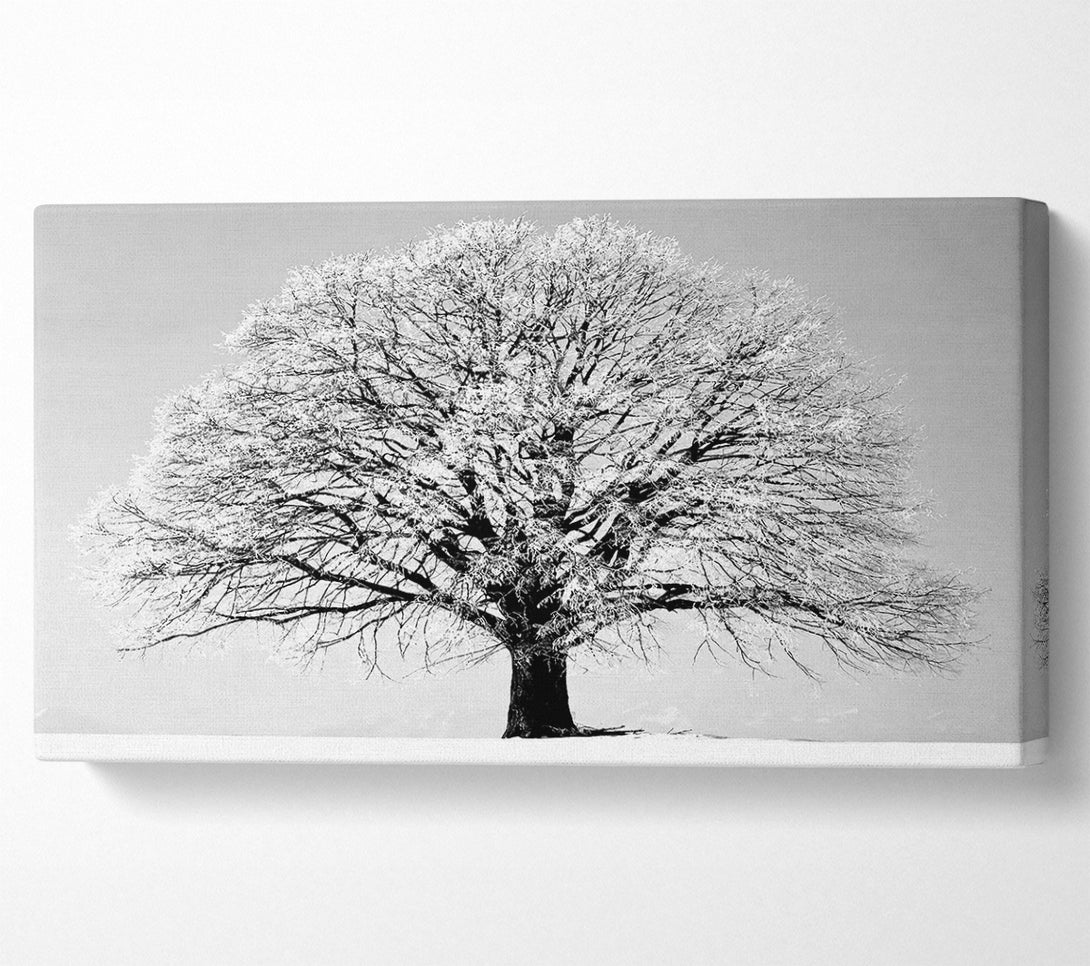  A Canvas Print of Winter Tree B n W Canvas Print
