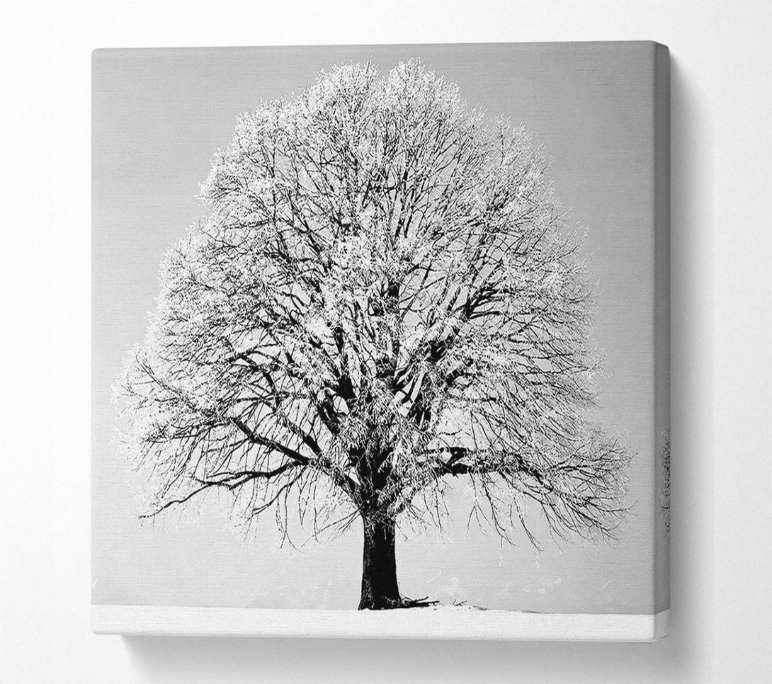  A Canvas Print of Winter Tree B n W Canvas Print