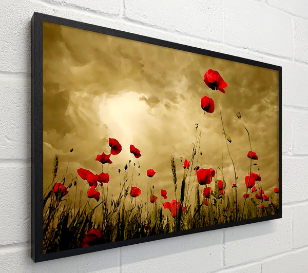 Red Poppy skies