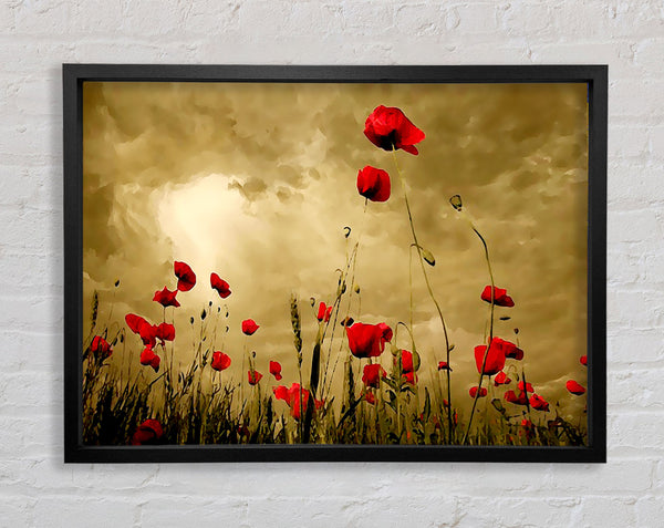 Red Poppy skies Framed Print