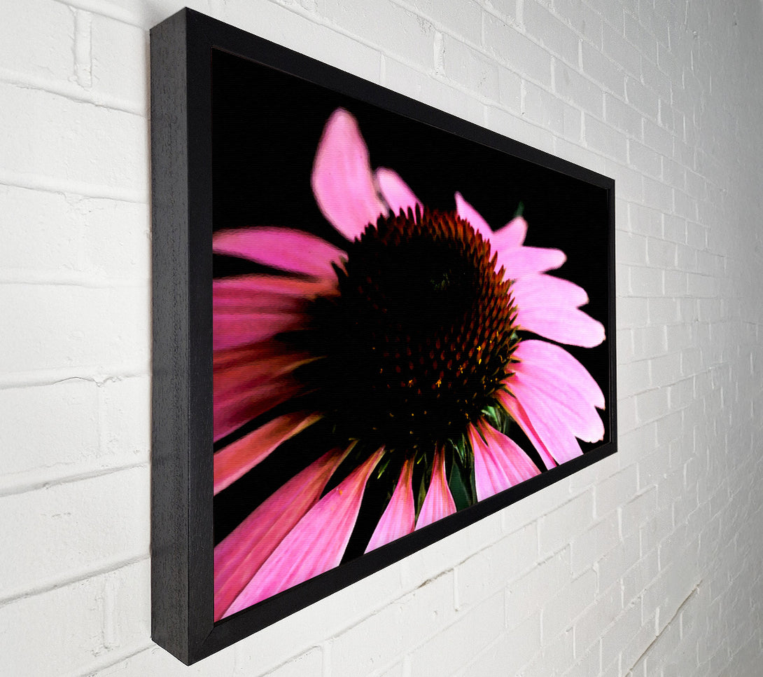  A Canvas Print of Pom Pom Daisy Centre Canvas Print