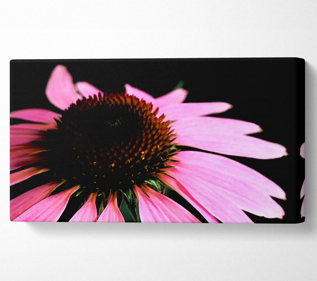  A Canvas Print of Pom Pom Daisy Centre Canvas Print