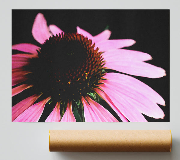Pom Pom Daisy Centre Print