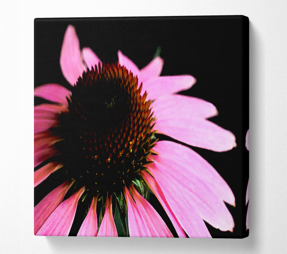  A Canvas Print of Pom Pom Daisy Centre Canvas Print