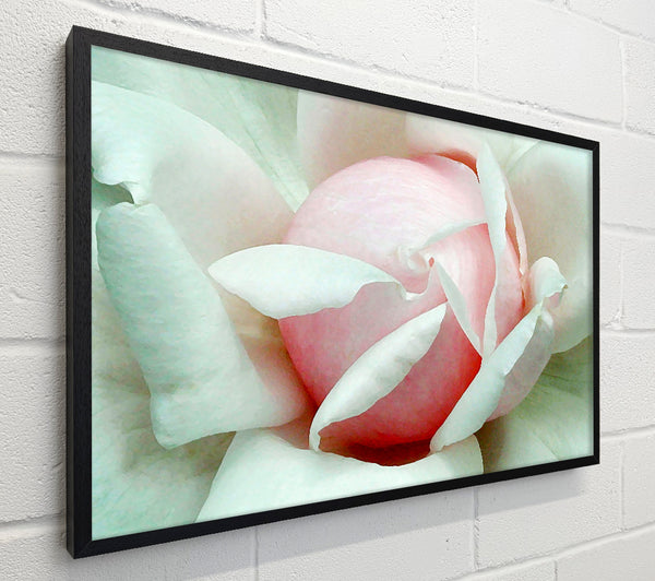 Soft Pink Rose Bud