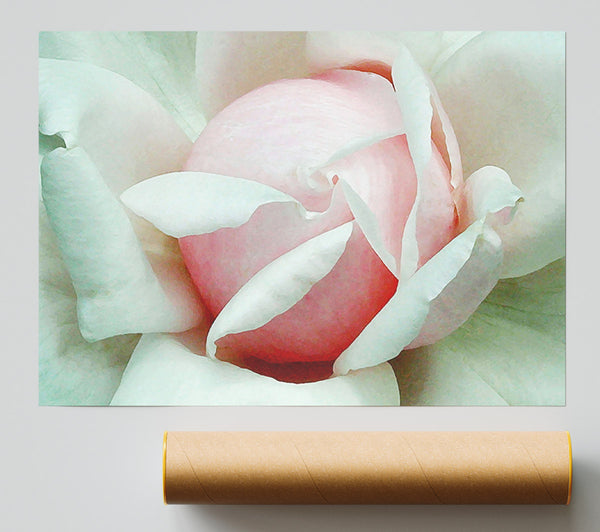 Soft Pink Rose Bud Giclee Print
