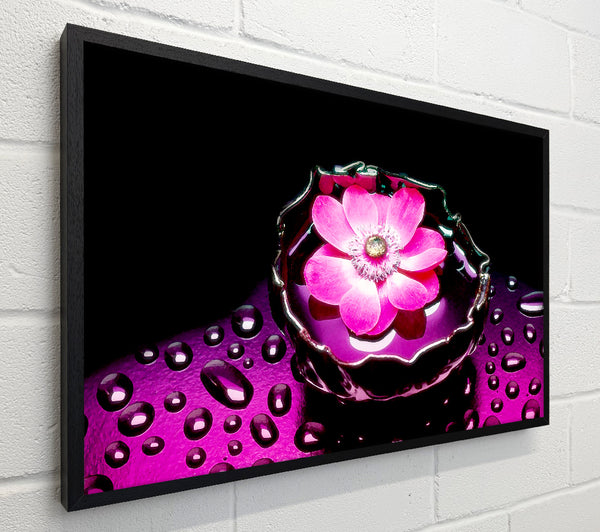 Pink Flower Splash