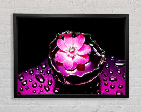 Pink Flower Splash Framed Print