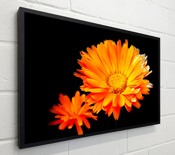 Vibrant Orange Gerberas