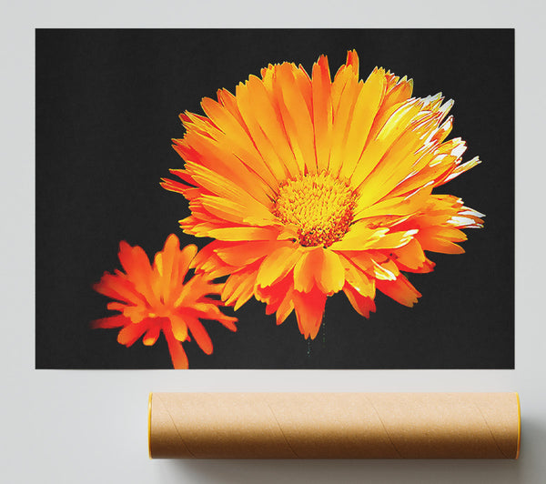 Vibrant Orange Gerberas Giclee Print