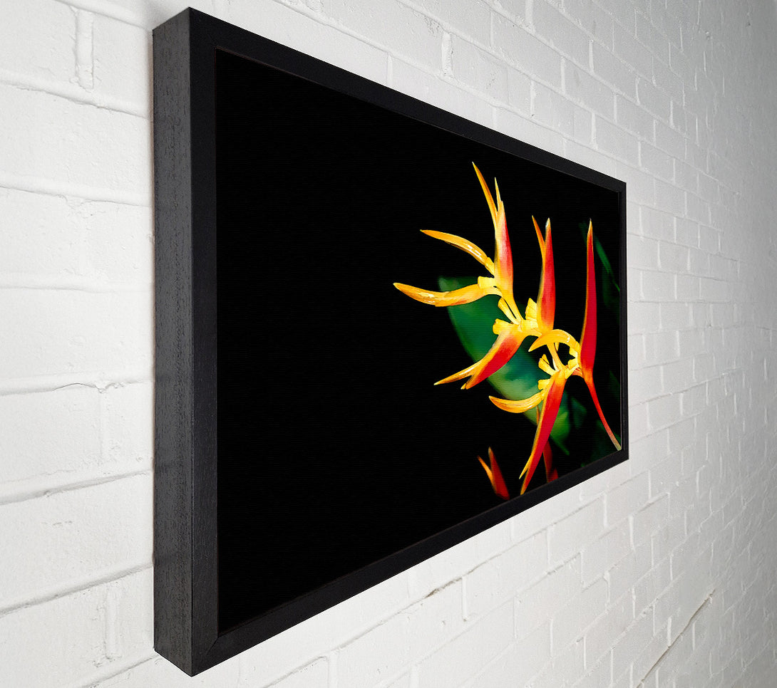  A Canvas Print of Bird Of Paradise In Sunlight Canvas Wall Art