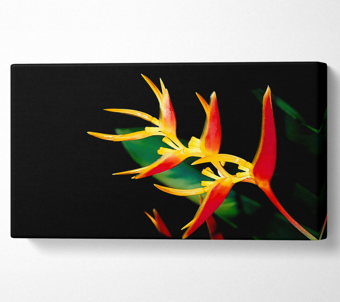  A Canvas Print of Bird Of Paradise In Sunlight Canvas Wall Art