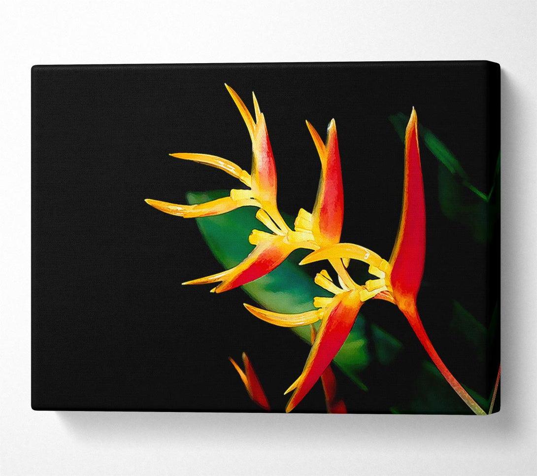  A Canvas Print of Bird Of Paradise In Sunlight Canvas Wall Art