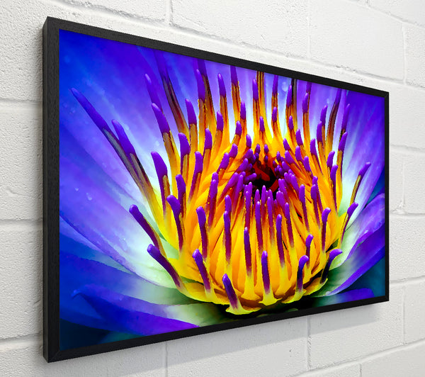 Vibrant Purple Water Lily