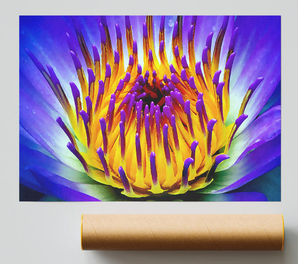 Vibrant Purple Water Lily Poster