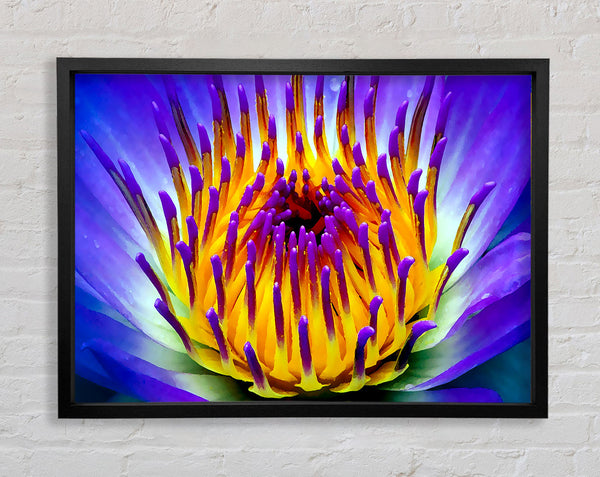 Vibrant Purple Water Lily Framed Print